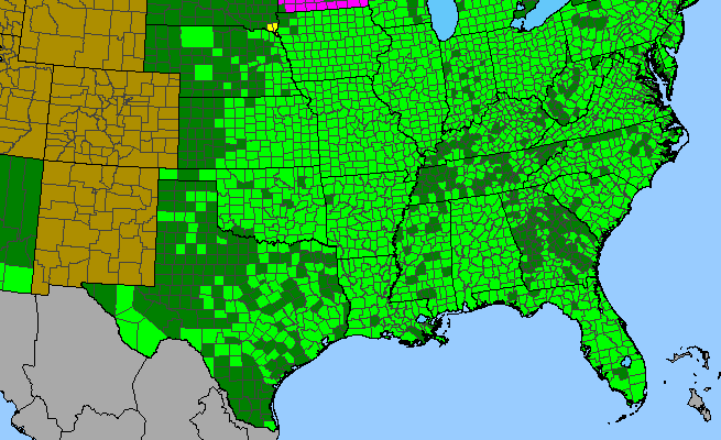 The range of Toxicodendron radicans